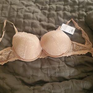 Elegant Lace Bra in Cream